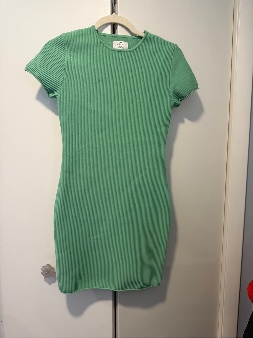 Ribbed Short Sleeve Mini Dress in Mint Green